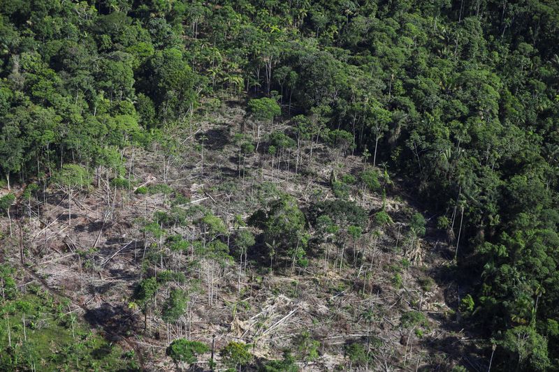 © Reuters. FILE PHOTO: A deforested area which, according to authorities, is used for coca leaf plantations is seen during an overflight by the Colombian anti-narcotics police in Putumayo, Colombia November 12, 2023. REUTERS/Luisa Gonzalez/File Photo